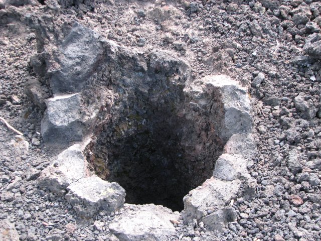 Lava Cast Forest